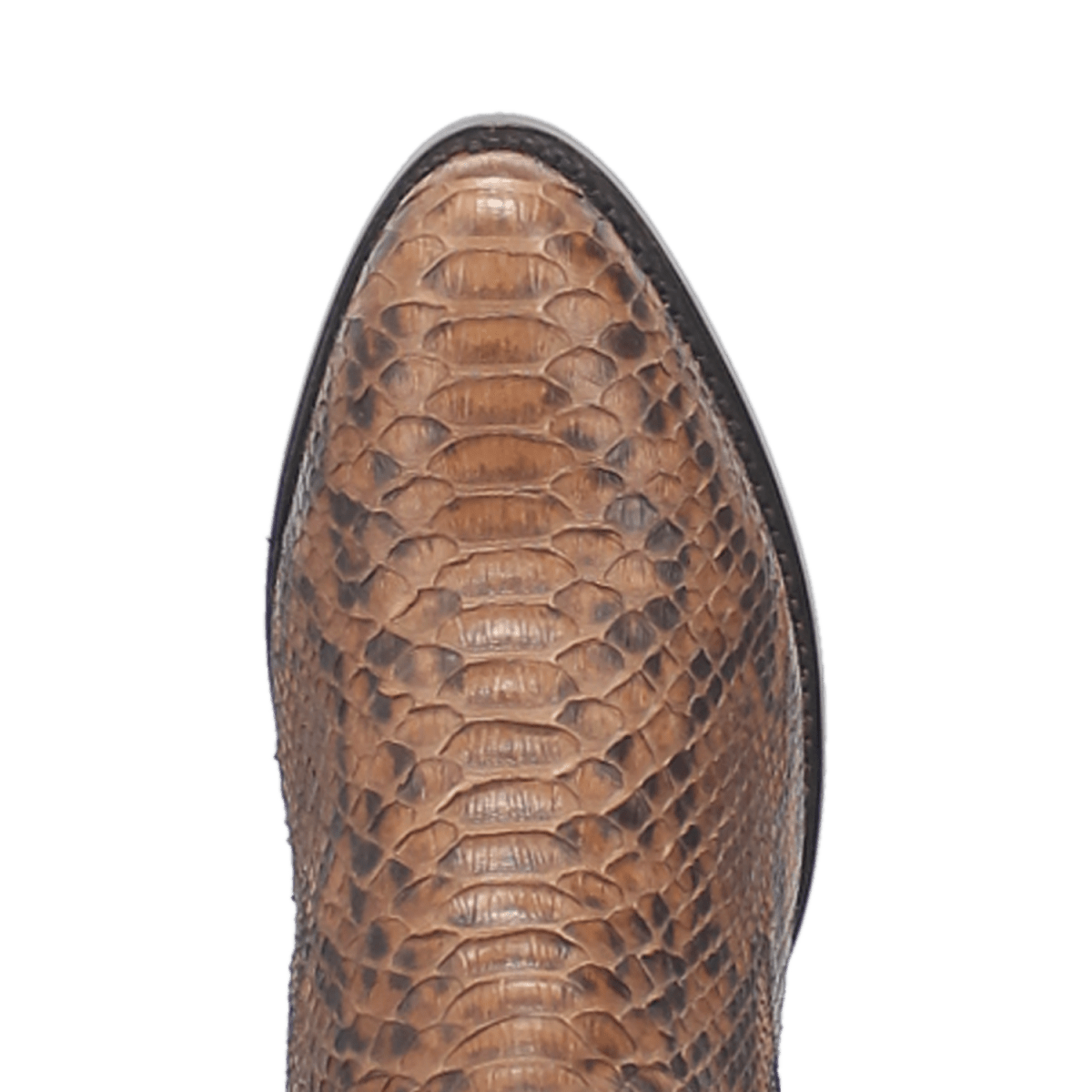 Dan Post Men's Manning Exotic Python Western Boot - DP3037-7D
