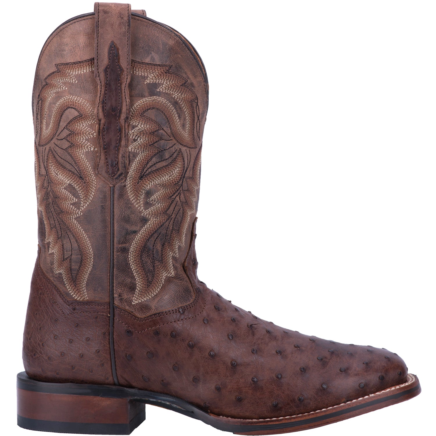 Dan Post Men's 11" Alamosa Brown Full - Quill Ostrich Square Toe Western Boot - DP3875 - 7D