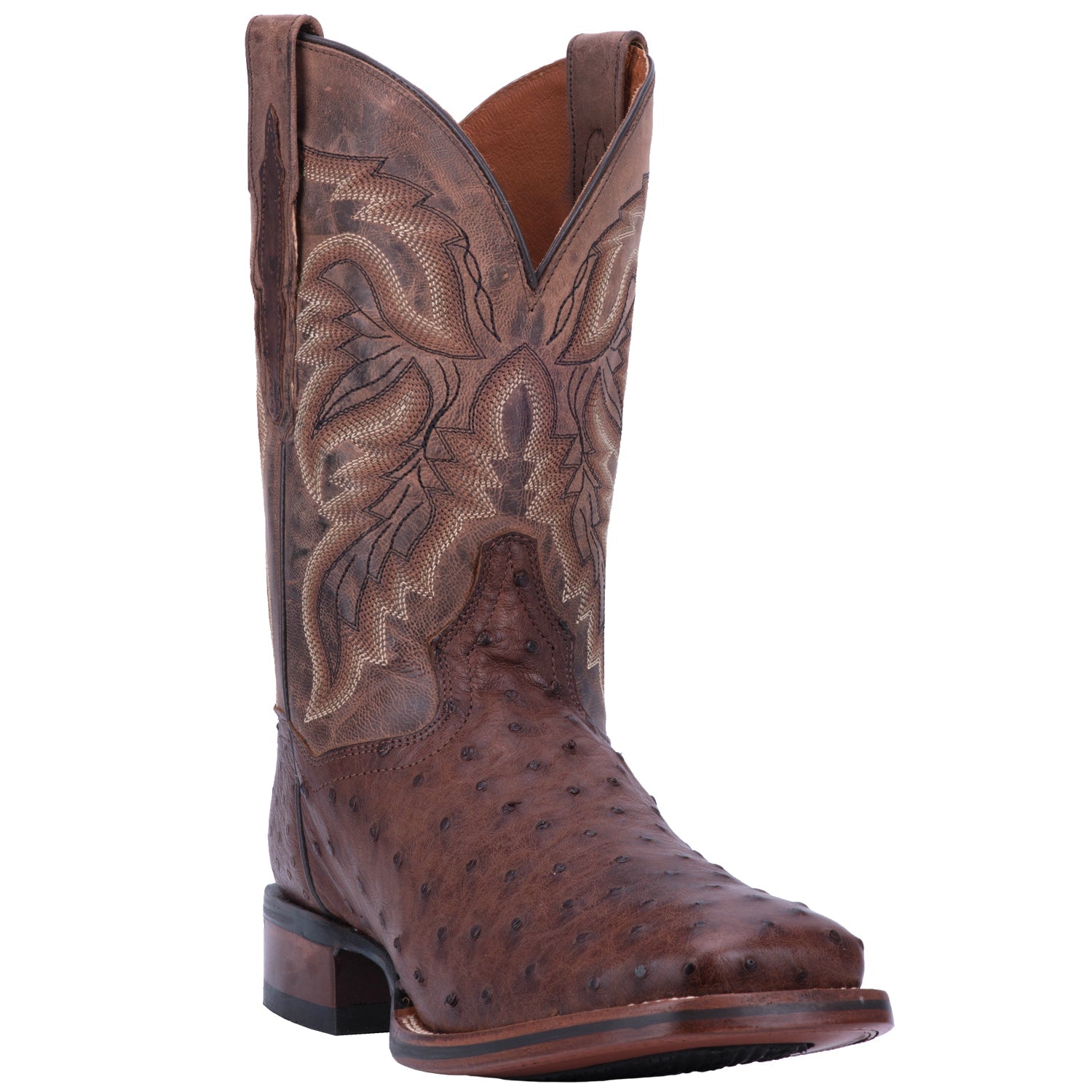 Dan Post Men's 11" Alamosa Brown Full - Quill Ostrich Square Toe Western Boot - DP3875 - 7D